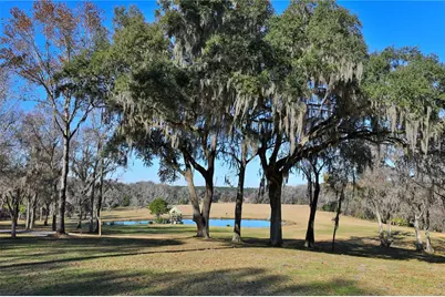 15551 NW Highway 225, Reddick, FL 32686 - Photo 39