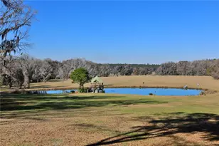 15551 NW Hwy 225, Reddick, FL 32686 - Photo 43