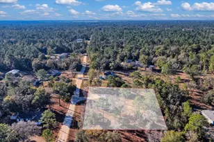 1910 NE 155th Ct, Williston, FL 32696 - Photo 43