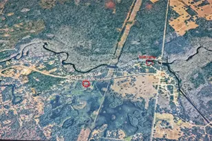 4314 E Fort Apache Pl, Dunnellon, FL 34434 - Photo 7