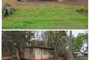 4314 E Fort Apache Pl, Dunnellon, FL 34434 - Photo 3