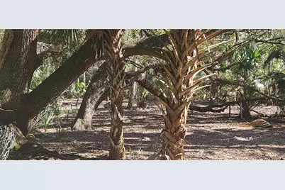 11159 N Clamdigger Terrace, Inglis, FL 34449 - Photo 27