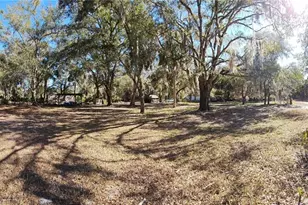 11159 N Clamdigger Terrace, Inglis, FL 34449 - Photo 59