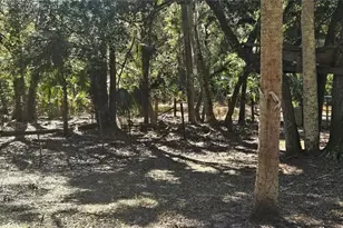 11159 N Clamdigger Terrace, Inglis, FL 34449 - Photo 29