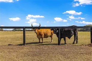 4120 SW 199th Ct, Dunnellon, FL 34431 - Photo 57