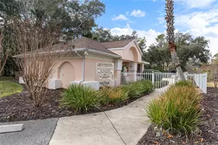 15 W Byrsonima Loop, Homosassa, FL 34446 - Photo 47
