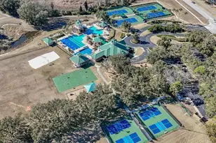 18953 Wood Sage Dr, Tampa, FL 33647 - Photo 39