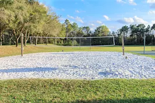 18953 Wood Sage Dr, Tampa, FL 33647 - Photo 37