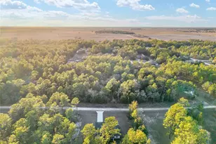 8725 SW 136th Terrace, Dunnellon, FL 34432 - Photo 71