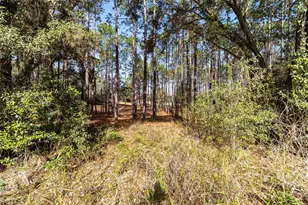 38 Cedar Tree Terrace, Ocala, FL 34472 - Photo 15