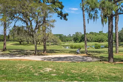 31 W Byrsonima Loop, Homosassa, FL 34446 - Photo 63