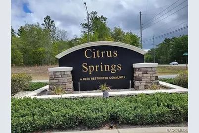 8781 N Quarry Drive, Citrus Springs, FL 34434 - Photo 17