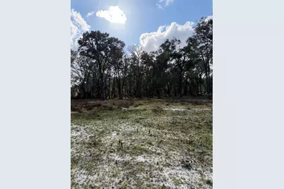 3780 SE 145th Street, Summerfield, FL 34491 - Photo 7