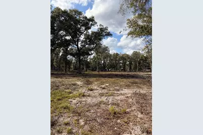 3780 SE 145th Street, Summerfield, FL 34491 - Photo 5
