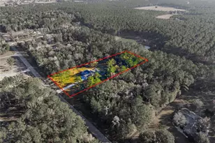 14377 NW 141st Ave, Williston, FL 32696 - Photo 21