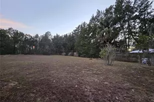 36014 Lake Unity Nursery Rd, Fruitland Park, FL 34731 - Photo 29