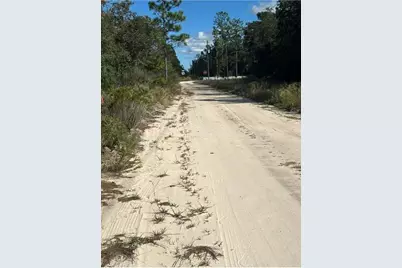 Ne 66th Street, Bronson, FL 32621 - Photo 9