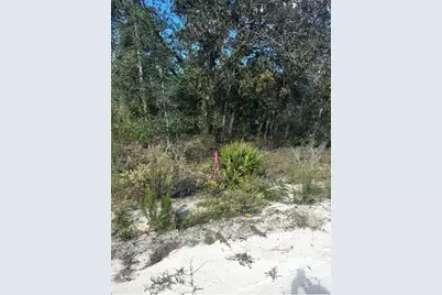 Ne 66th Street, Bronson, FL 32621 - Photo 13