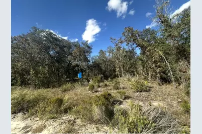 Ne 66th Street, Bronson, FL 32621 - Photo 1