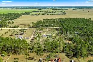 5130 SE 137 Ave, Morriston, FL 32668 - Photo 43