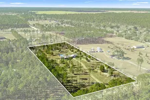 5130 SE 137 Ave, Morriston, FL 32668 - Photo 1