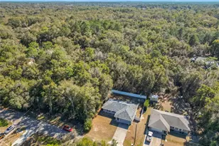3480 E Theo Ln, Inverness, FL 34453 - Photo 5
