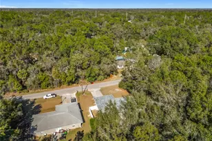 3480 E Theo Ln, Inverness, FL 34453 - Photo 39