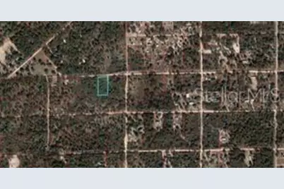 Tbd NE 90th Street, Bronson, FL 32621 - Photo 1