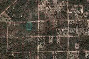 Tbd NE 90th St, Bronson, FL 32621 - Photo 1