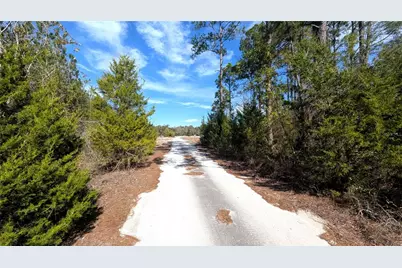 13550 NW Old Fannin Road, Chiefland, FL 32626 - Photo 5