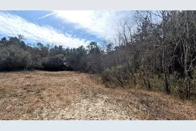 13550 NW Old Fannin Road, Chiefland, FL 32626 - Photo 13