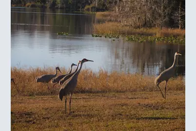 1984 SE 171st Court, Silver Springs, FL 34488 - Photo 55