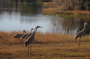 1984 SE 171st Ct, Silver Springs, FL 34488 - Photo 55