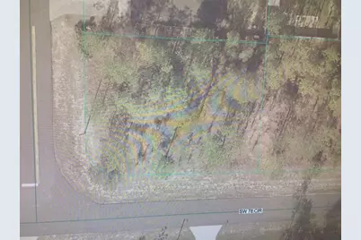 0 SW 77 Avenue, Ocala, FL 34473 - Photo 3