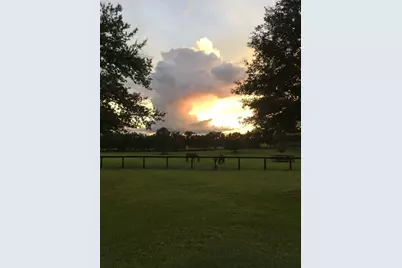 9549 NW 80th Avenue, Ocala, FL 34482 - Photo 7