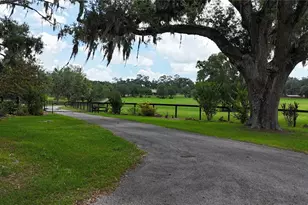 9549 NW 80th Ave, Ocala, FL 34482 - Photo 53