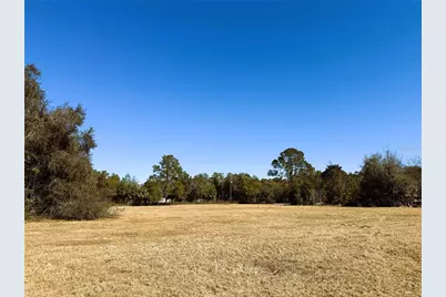 7400 NE 199th Street Road, Citra, FL 32113 - Photo 11