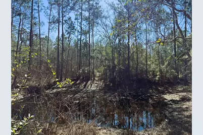 7400 NE 199th Street Road, Citra, FL 32113 - Photo 19