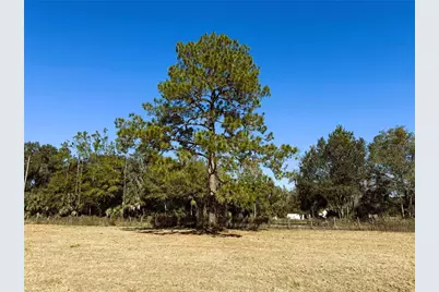 7400 NE 199th Street Road, Citra, FL 32113 - Photo 7