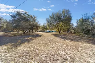 1572 N Hwy 314 A, Silver Springs, FL 34488 - Photo 61