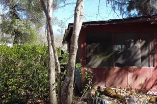 16800 NE 16th Pl, Silver Springs, FL 34488 - Photo 17