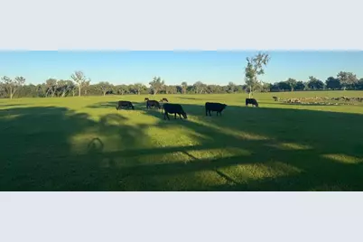 Nw 160 Avenue, Morriston, FL 32668 - Photo 7