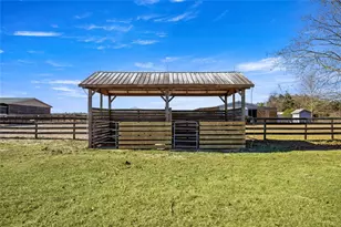 1351 SE 196 Ct, Morriston, FL 32668 - Photo 63