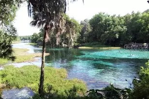 10377 SW 186th Ave, Dunnellon, FL 34432 - Photo 3