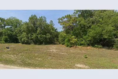 Tbd Malauka Run Court, Ocklawaha, FL 32179 - Photo 1