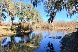 5721 S Liveoak Dr, Floral City, FL 34436 - Photo 3