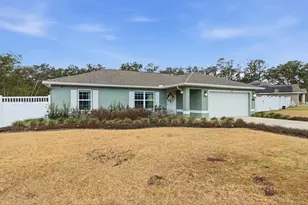 14 Fisher Way Trce, Ocklawaha, FL 32179 - Photo 47