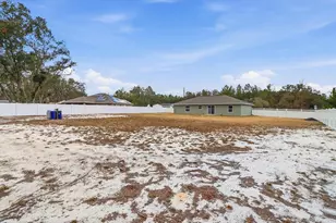 14 Fisher Way Trce, Ocklawaha, FL 32179 - Photo 45