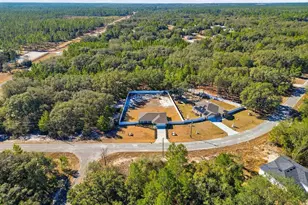 14 Fisher Way Trce, Ocklawaha, FL 32179 - Photo 5