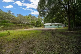 25094 NE 132nd Ln, Salt Springs, FL 32134 - Photo 47